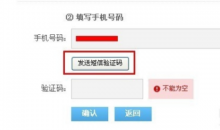 验证码短信API是什么，